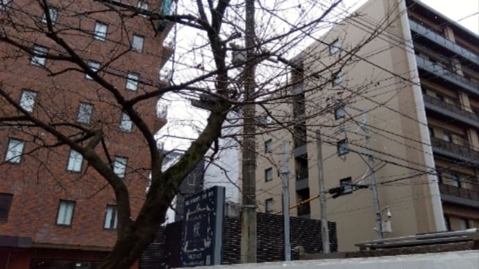 積雪、寒波には気をつけて