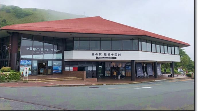 伊豆と箱根への旅行へ行ってきました~5,十国峠、箱根神社、大涌谷
