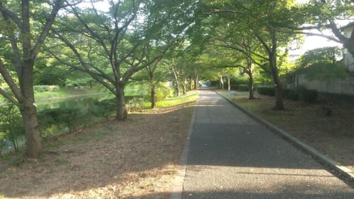 信じられないけど「立秋」