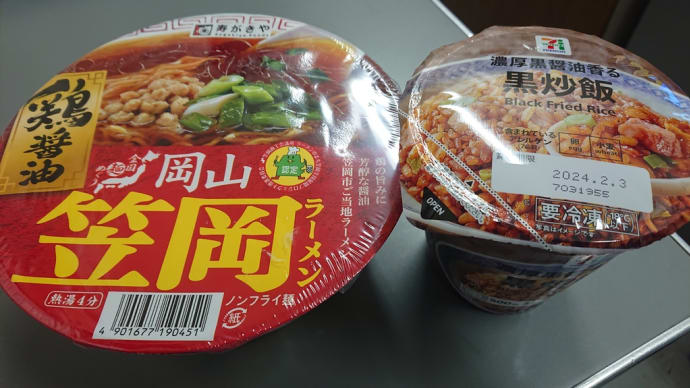 お昼ご飯🐱