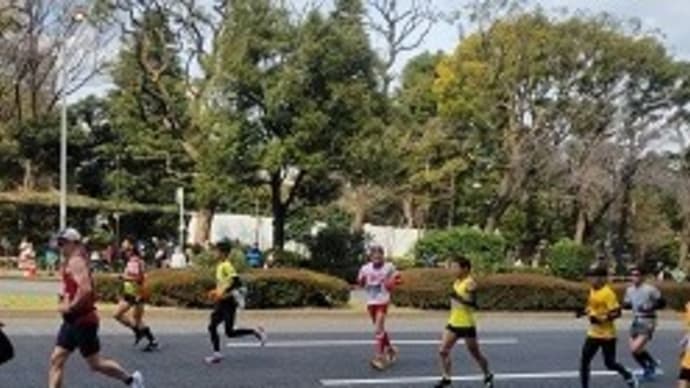 東京マラソン2023 息子も参加