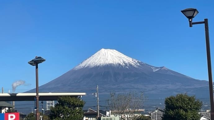 ギンナンを拾って食べる