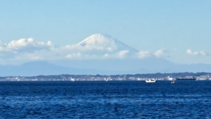 また外れたか?なんとビリから3番目!ルメールさんどうしちゃったの?