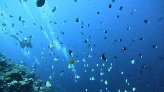 続・西ミンドロにある幻の環礁(^^♪