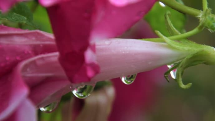 雨が降り続く
