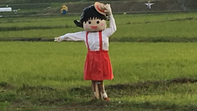 ハッシュタグ 秋の風物 Goo Blog Gooブログ ハッシュタグ 秋の風物 Goo Blog Gooブログ