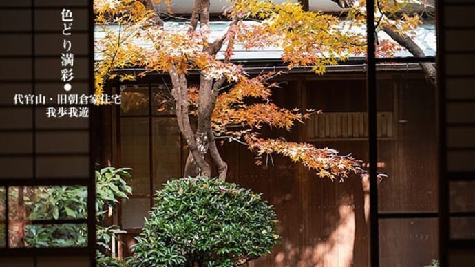母屋から初冬景。