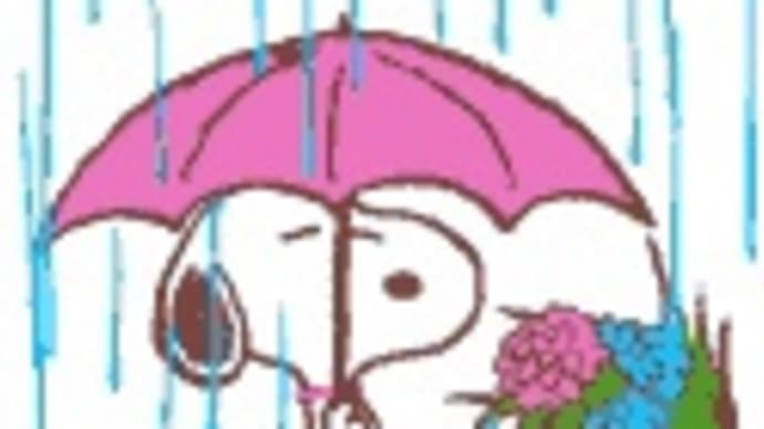 ☔️☔️⤵️💦67.5kg😞