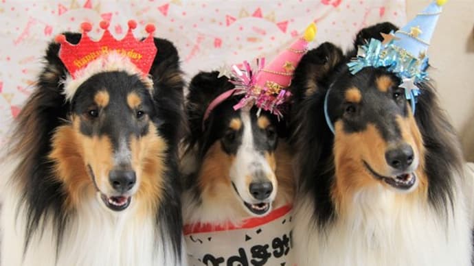 フー 1歳のお誕生会