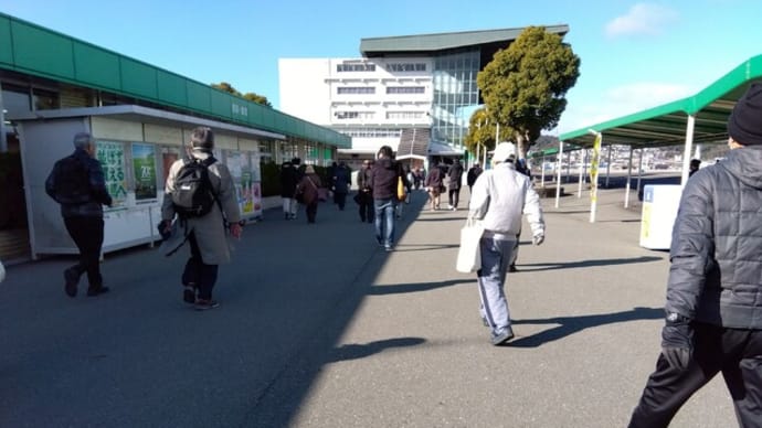 兵庫クイーンセレクション、行ってきました2024