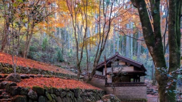 紅葉は最終ラウンド・・・その2