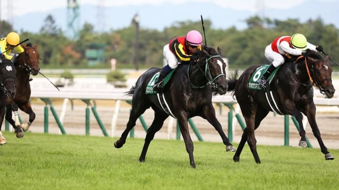 【予想】 第44回 新潟2歳ステークス G3