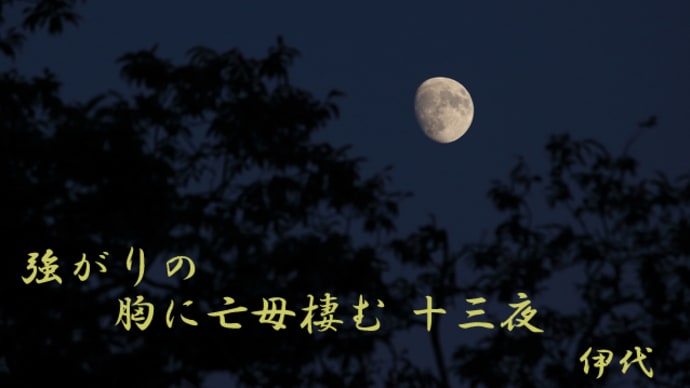 十三夜をお題にした母の句~後(のち)の月