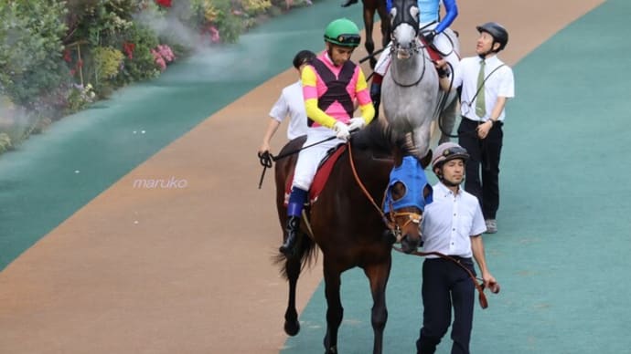 春競馬7