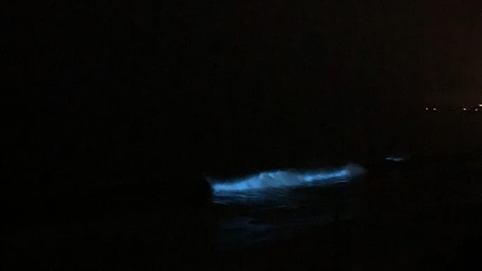 青く光る海