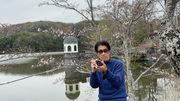 服部の大池の桜は やっぱりまだまだ 満開は先だね…