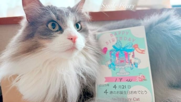 4歳のノアくん