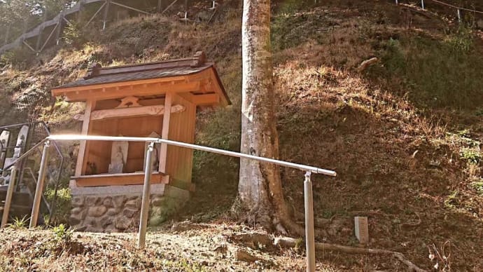 癒しを