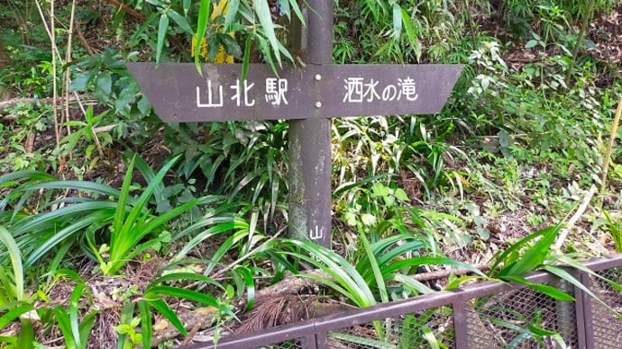 足柄から箱根への散歩