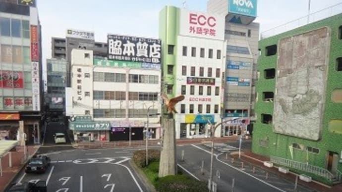 藤原京、嵐のコスモス畑1