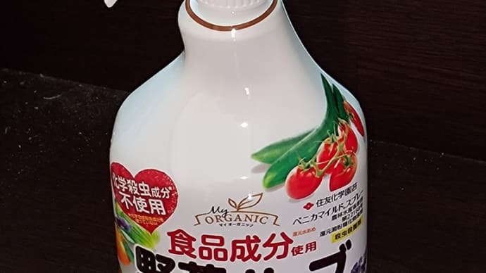 🚿今日の屋上菜園👀水やり~🌱