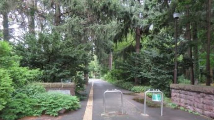 札幌散策(豊平公園へ)