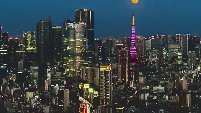 あっという間に1ヶ月
