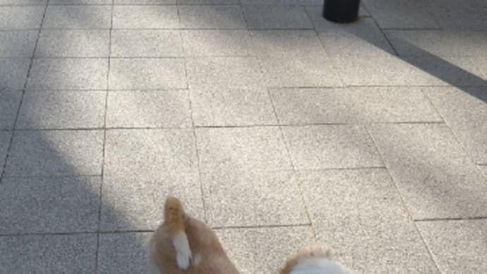 帰りたくない