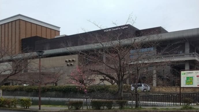 疎水の桜はまだでした