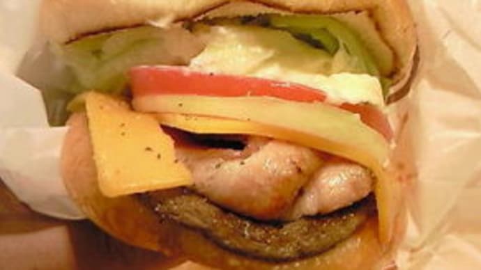 これが佐世保バーガーだ~!