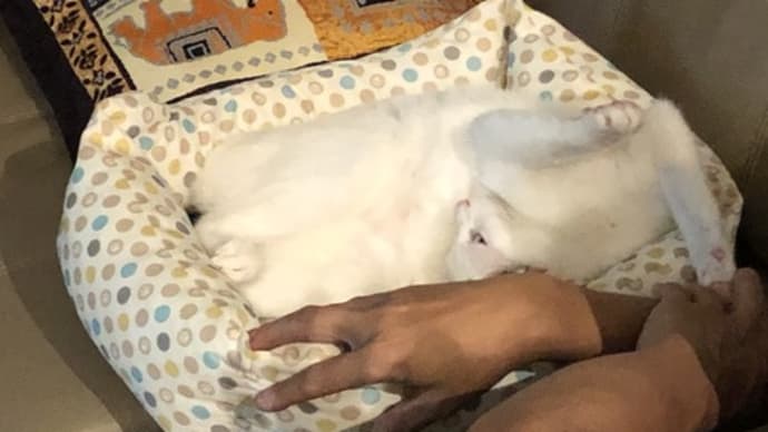 なな、できるときもあるのよね。
