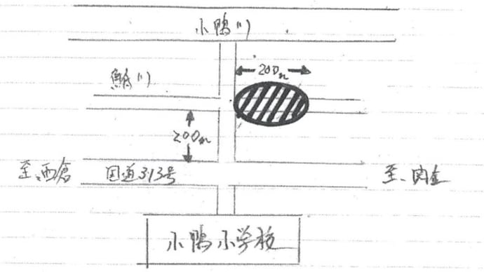 2024年6月6日 ゲンジボタル確認数