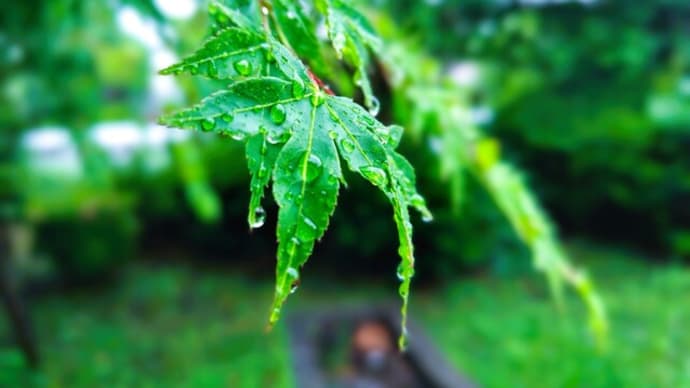 雨宿り☔