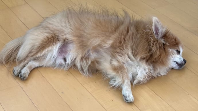 電気代が高すぎてやめた事 床暖房VSエアコン