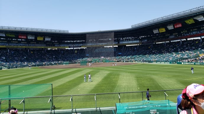 野球観戦