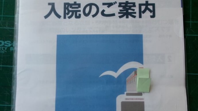 生涯“おひとりさま”が入退院するには、