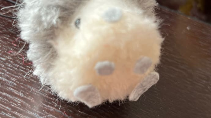 ちっちゃいがいっぱい!