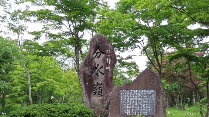分水嶺公園の鳥さん