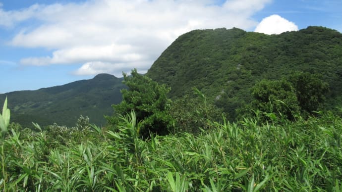 山野草に魅せられて