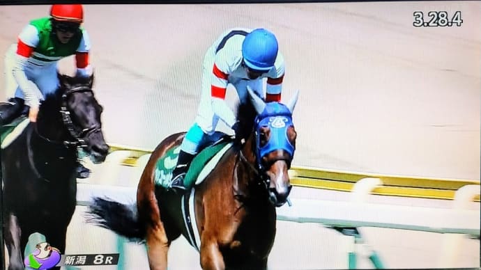 🐴きょうのJRA(22/7/31) アイビスSD・クイーンS