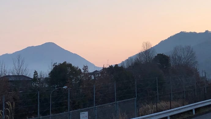 今日の1日(ワクチン)