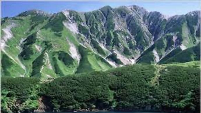 山の危険生物2選。危ないのはコイツだ!