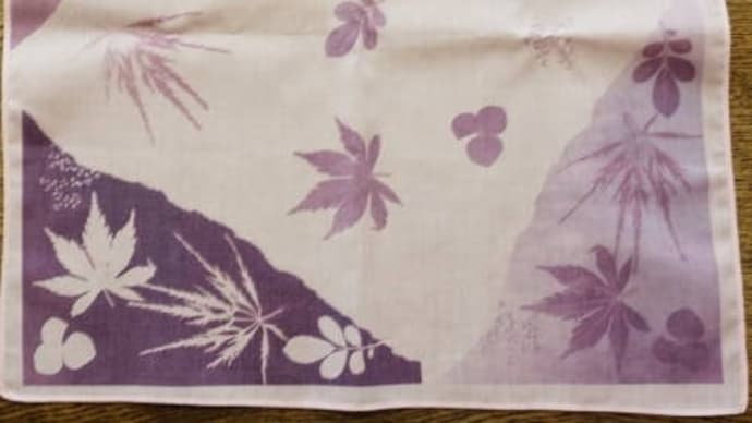 女房が染めの教室に行ってきて