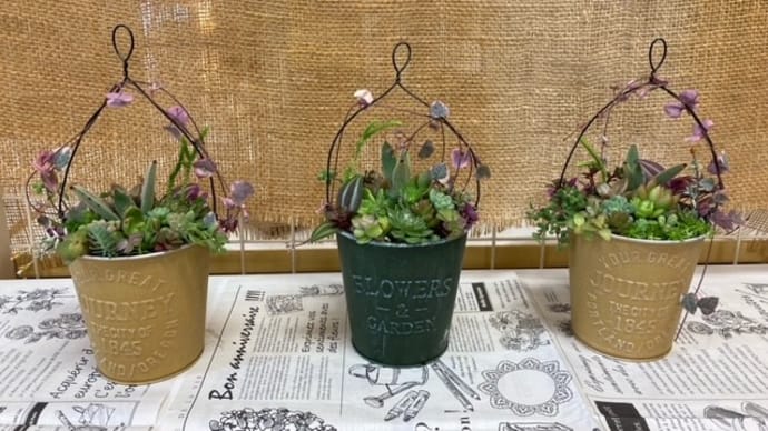 ~えん旅多肉植物の寄せ植え教室を開催したよ~