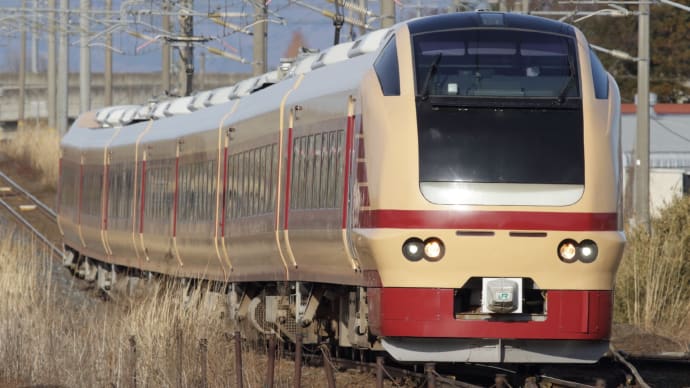 矢野目(信)でE653系