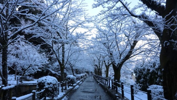 整えられた庭園には白銀がきわだつ 【霊芝山光雲寺を訪ね-Ⅶ-】
