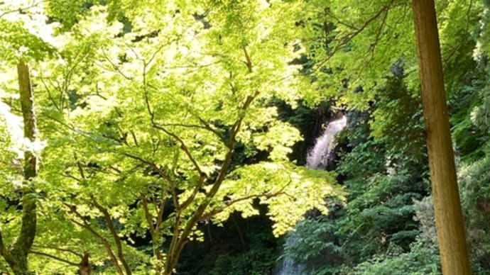 養老の旅　日本の初夏の美しさ　その①　～養老天命反転地、養老の滝～
