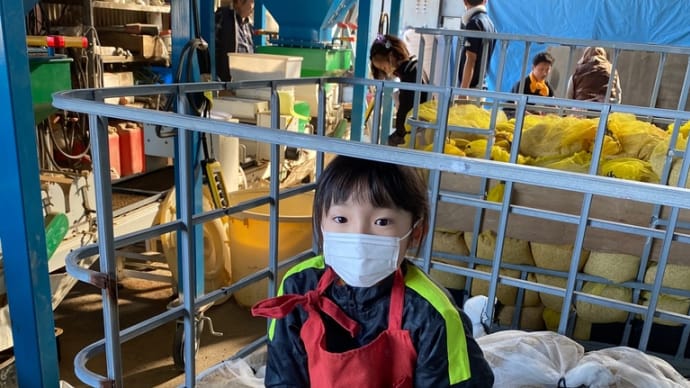 田んぼ・種まき、他