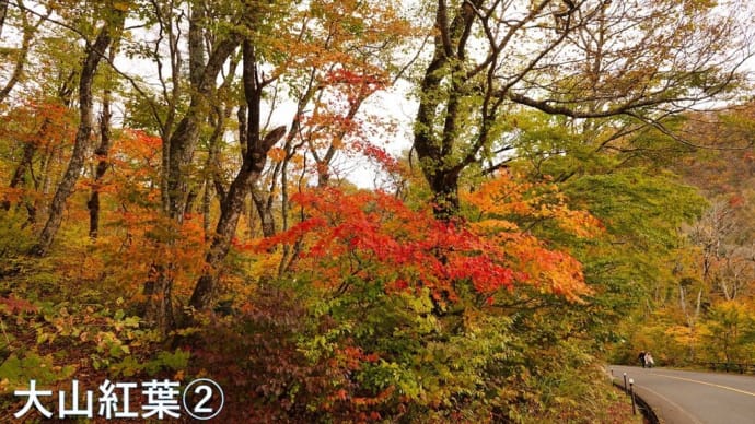 大山環状道路の紅葉②　10月28日撮影分