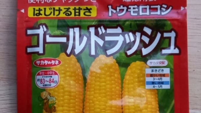 トウモロコシの種を買いました。